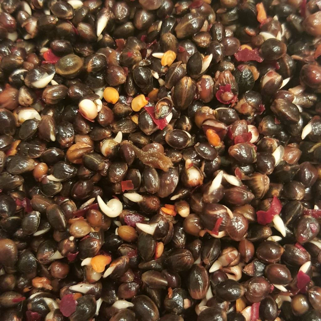 Hennep Chili 3 Hennep Chili