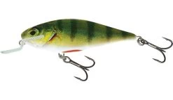 Salmo Executor 7cm Shallow Runner -Fishing Gear Verkoop salmo executor 7cm shallow runner 3