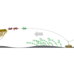 MADCAT Screaming Basic River Rig Worm & Squid -Fishing Gear Verkoop madcat screaming basic river rig worm squid 2