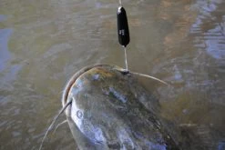 MADCAT Subfloat -Fishing Gear Verkoop madcat subfloat 1