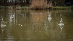 Pellet Waggler -Fishing Gear Verkoop matrix fishing pellet waggler 5